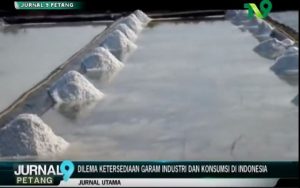 Dilema Ketersediaan Garam Industri dan Konsumsi di Indonesia – Jurnal Utama