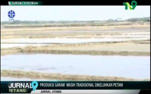Produksi Garam Masih Tradisional dikeluhkan Petani – Jurnal Utama
