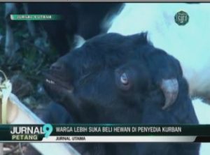 Berkurban, Melatih Keikhlasan Mengeluarkan Harta Benda – Jurnal Utama