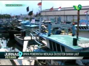 Upaya Pemerintah Menjaga Ekosistem Bawah Laut