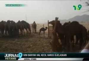 WHO Keluarkan Pernyataan Terkait Urine Unta