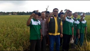 Lembaga Pengembangan Pertanian NU Jatim Budidayakan Padi NU