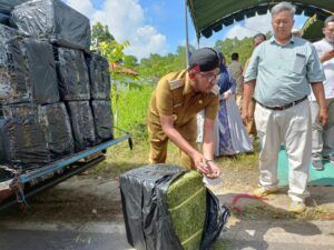 300 Ton Daun Kelor dari Sumenep Diekspor ke Tiongkok
