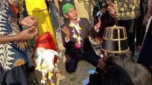 NU dan Muhammadiyah Sepakat Minta Kemenag Gresik Sikapi Ritual Pernikahan Manusia dan Kambing