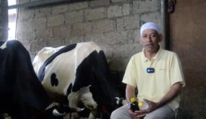 Atasi PMK Sapi, LPPNU Kabupaten Pasuruan Temukan Resep Herbal Hitam Putih