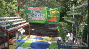 Lahan Pembuangan Sampah Diubah jadi Tempat Budidaya Tanaman Toga