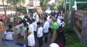 Tradisi Maulid Nabi Muhammad SAW, Warga Kramatjegu Ikuti Pawai