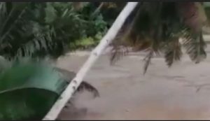 Desa Sumber Manjingwetan Malang Dikepung Banjir, Warga Terjebak di Dalam Rumah