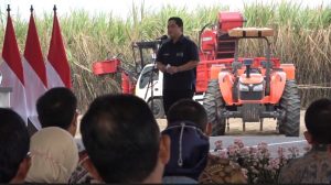 Revitalisasi Swasembada Pangan Nasional, Menteri BUMN Siapkan 700 Ribu Hektar Lahan Tebu
