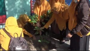 Unik, Matsmaket Peringati Maulid Nabi Muhammad dengan Tabur Benih Ikan dan Tanam Bibit Pohon
