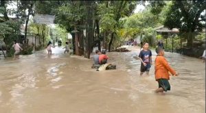 Hujan Deras Sebabkan Banjir, Permukimam dan Jalan Desa di Dua Kecamatan Probolinggo Terendam Air