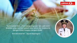 Bupati Bojonegoro: MoU dengan Bulog Jaga Harga Panen Tetap Stabil 