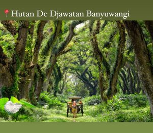 Miliki Gunung, Kawah, hingga Lautan, Gubernur Khofifah Ajak Warga +62 Healing ke Jawa Timur