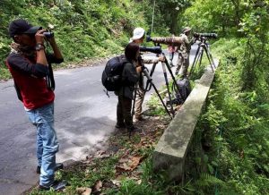 Fotografer dan Pemerhati Satwa Bebas Salurkan Hobi di Area Perhutani