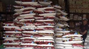 Harga Beras Naik, DKUPP dan TPID Kabupaten Probolinggo Pantau Fluktuasi Harga