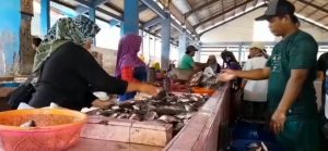 Harga Ikan Naik Akibat Cuaca Buruk