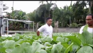Potensi Cuan! Pemuda di Pasuruan Jadikan Lahan Kosong Jadi Perkebunan Hidroponik