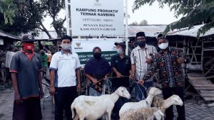 Sejahterakan Warga, Pemdes Kertosono Sulap TKD Jadi Kampung Produktif Ternak Kambing