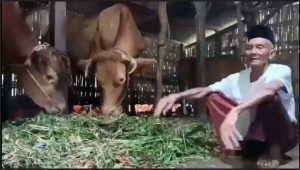 CJH Tertua di Pasuruan Senang Akhirnya Bisa Berangkat Haji