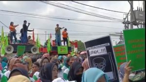 PHK Sepihak, Ratusan Buruh Minta PT Young Tree Pekerjakan Kembali 182 Karyawan