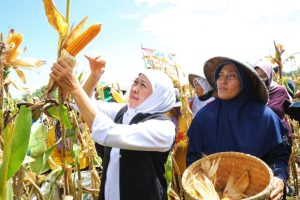Peringati Hari Krida Pertanian, Gubernur Khofifah: Peningkatkan Produktivitas Pertanian Harus Selaras dengan Kesejahteraan Petani
