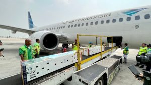 Dukung Konservasi Satwa Endemik, Garuda Indonesia Angkut Komodo ke Labuhan Bajo