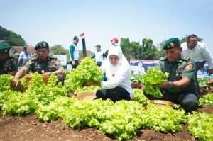 Dorong Peningkatan Ketahanan Pangan, Gubernur Khofifah dan Pangdivif 2 Kostrad Tanam 10 Ribu Pohon