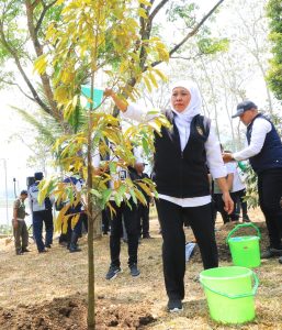 Antisipasi Perubahan Iklim, 1.500 Durian Musang King dan Alpukat Aligator Ditanam di Selorejo