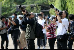 Rayakan Hari Cinta Puspa dan Satwa Nasional KEHATI dan PFI Jakarta Adakan Lomba Foto dan Pameran Virtual