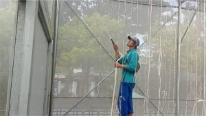Masjid Al Akbar Surabaya Lakukan Sterilisasi “Green House” untuk “Panen Sukses”
