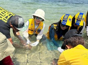 Lions Internasional D-307 B2 Indonesia & MS Tanam 1000 Terumbu Karang di Perairan Labuan Bajo