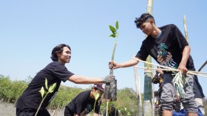 Tanam Ribuan Mangrove dan Bersih-Bersih Pantai Tandai Dimulainya Puncak Hari Santri 2023