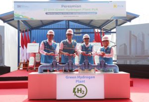 Terbanyak di Asia Tenggara! PLN Resmikan 21 Unit Green Hydrogen Plant, Mampu Produksi Hingga 199 Ton Hidrogen Per Tahun