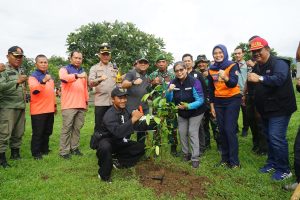Aksi Kolaborasi Tanam Pohon BPBD Jatim Berlanjut ke Kabupaten Magetan, Kota Kediri dan Situbondo