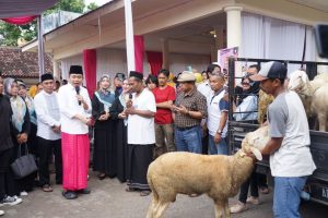 Gus Fawait Dilamar Pedagang Kambing dan Sapi Maju Bupati Jember 2024
