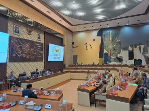 Rapat RUU DPR RI, PJ Bupati Pidie Tekankan Nilai Sejarah Pidie Terhadap Keberadaan Bangsa Indonesia