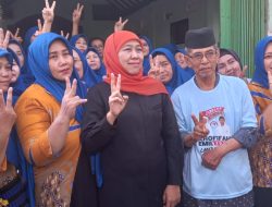 Kembali Kunjungi Kampung Bakpia, Penjualan Mulai Membaik