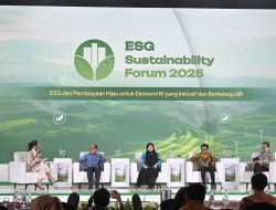 Di Forum ESG, Hashim Apresiasi Peran Aktif Perdagangan Karbon Indonesia, Terbesar dari PLN