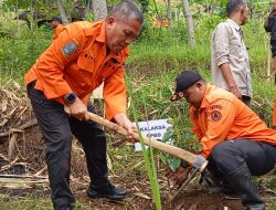 Perkuat Mitigasi Bencana, BPBD Jatim Tanam Ribuan Pohon Bareng Stakeholder Kabupaten/Kota