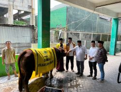 Wujudkan Kepedulian Sosial, PWNU Jatim Terima Hewan Kurban dari DPD Golkar