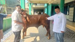 PWNU Jatim Terima 10 Sapi Kurban dari Megawati-Khofifah-Parpol