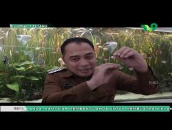 Pemkot Surabaya & Kejari Sepakat Terapkan Restorative Justice Berkeadilan