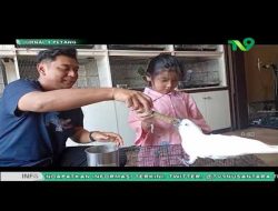 Cuan Miliaran dari Ternak Burung Parrot