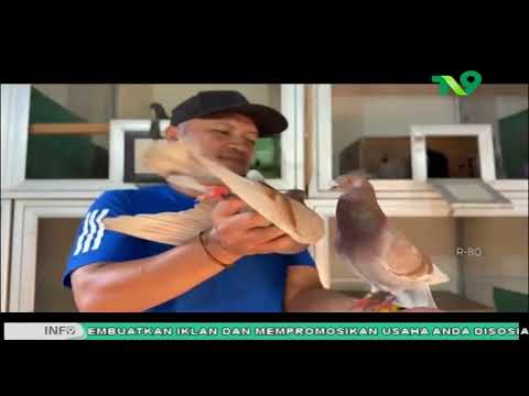 Dari Lapangan Hijau ke Kandang Ternak, Mantan Pesepak Bola Asal Pasuruan Raup Jutaan Rupiah