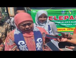 Khofifah Lepas Ekspor 270 Ton Sarden Banyuwangi, Tembus Pasar Eropa hingga Afrika
