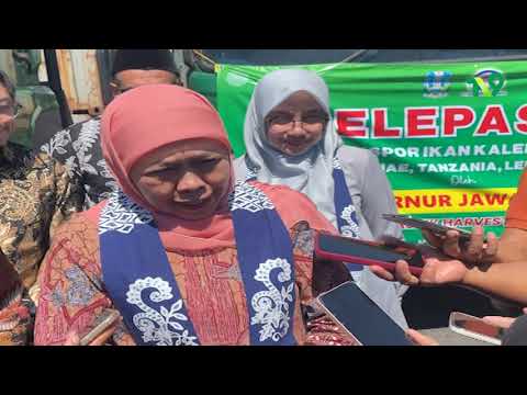 Khofifah Lepas Ekspor 270 Ton Sarden Banyuwangi, Tembus Pasar Eropa hingga Afrika